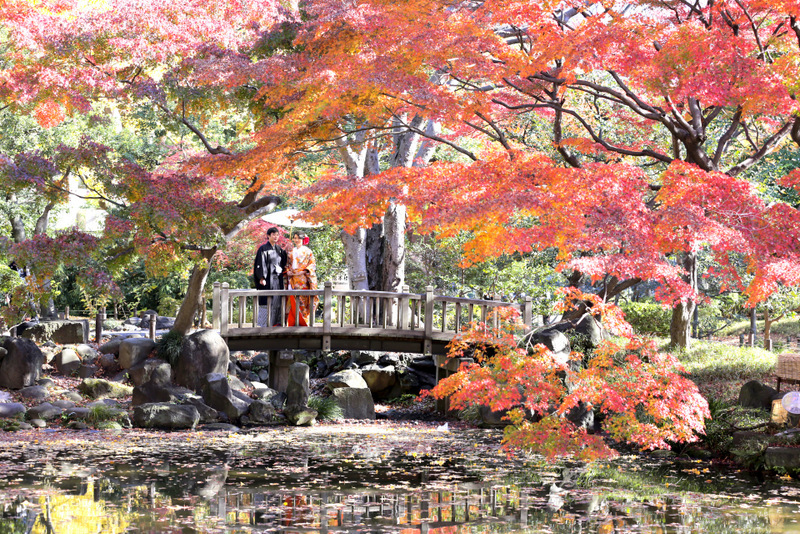 エフェット_家族・友人を撮影に呼べる