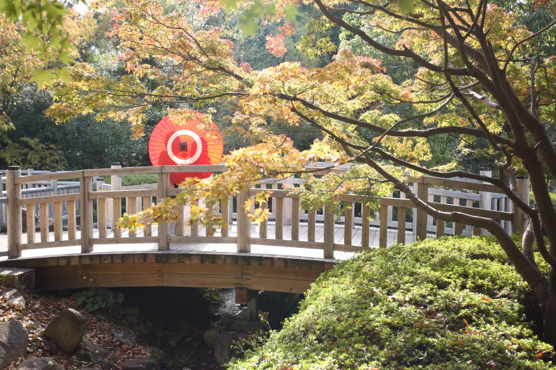 エフェット_庭園で撮影できる