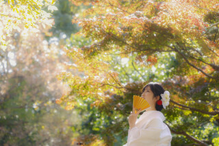 エフェット_紅葉ロケーション撮影　 kobayashi
