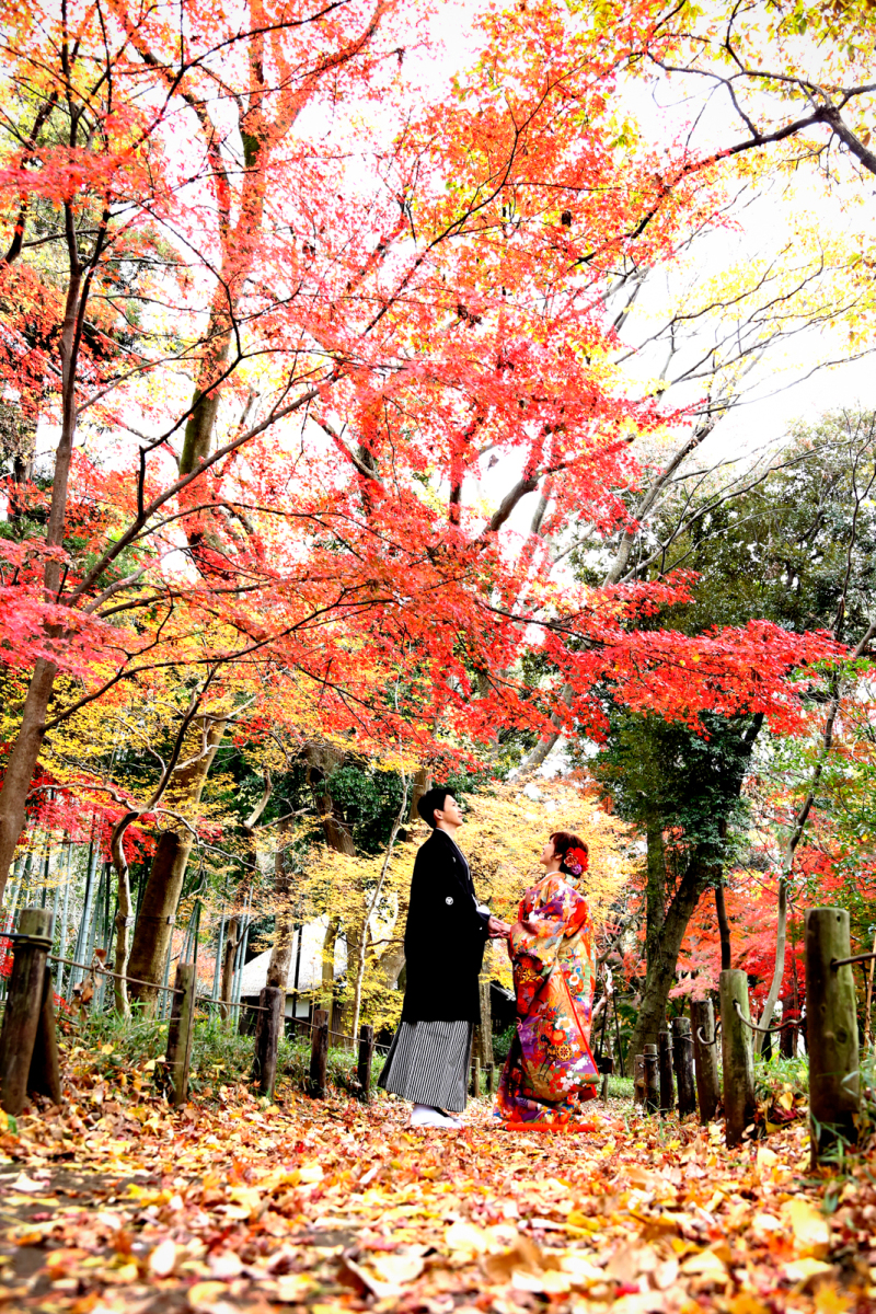 エフェット_庭園で撮影できる