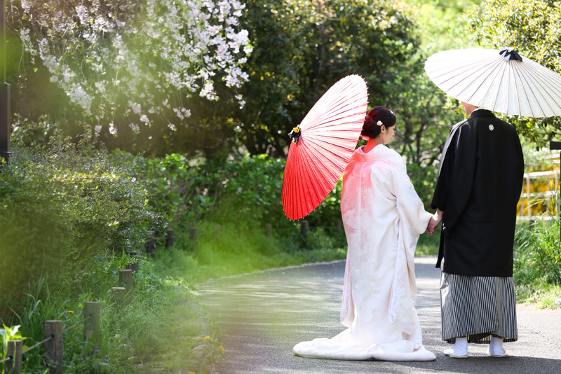撮影小物のレンタル無料です