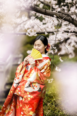 エフェット_桜＆洋装ナイトロケーション　photo by 小林