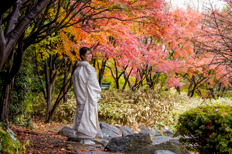 紅葉1
