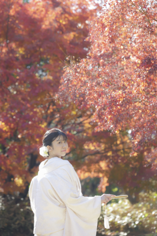 エフェット_紅葉ロケーション撮影　 kobayashi