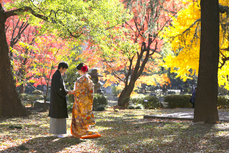 エフェット_色打掛・着物が豊富