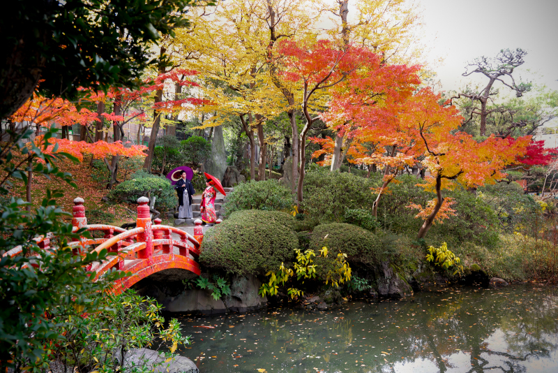 エフェット_庭園で撮影できる