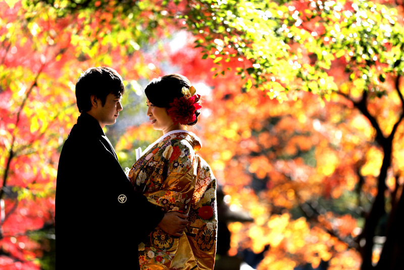 エフェット_色打掛・着物が豊富