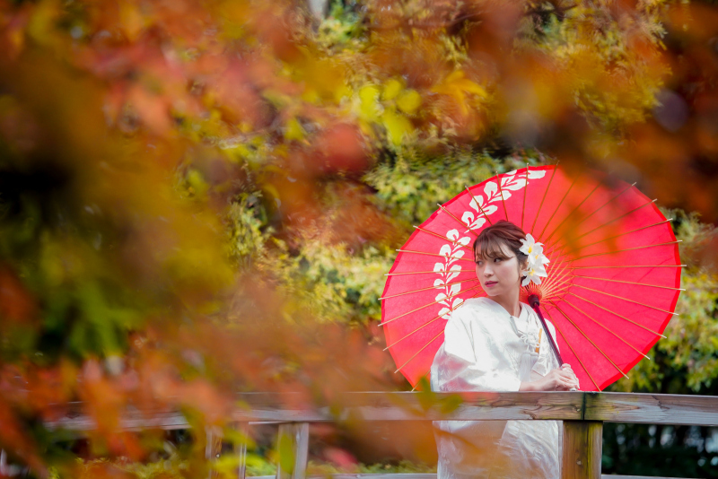 紅葉のなかで