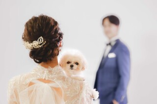 ペット撮影もご希望でしたらお手伝いいたします