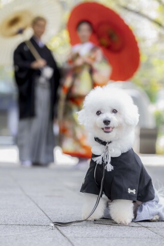 和小物のお持込みも大歓迎ですがエフェットにもご用意がございますので是非使ってみて下さい