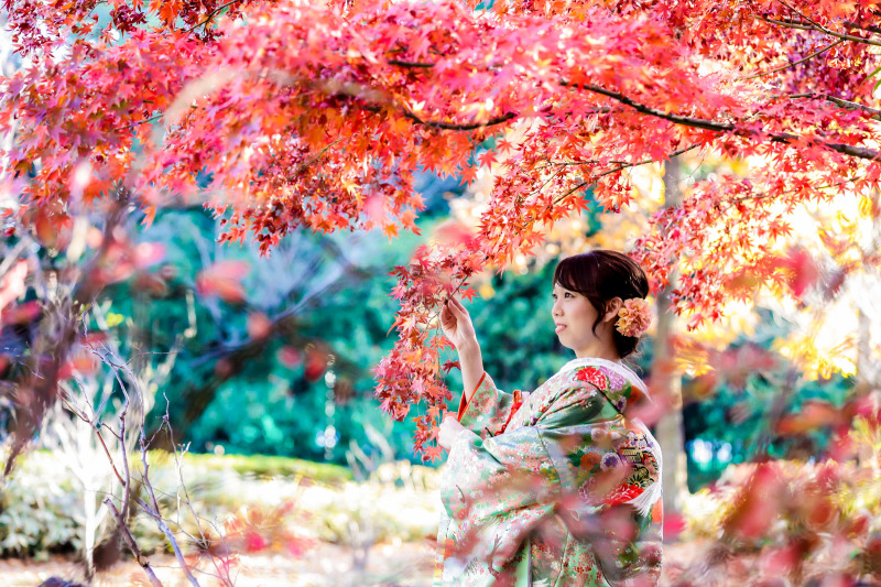 紅葉などの四季の風景も綺麗に編集いたします