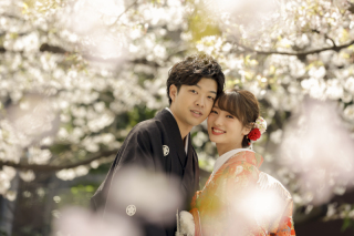 桜プラン 和装桜ロケ（白無垢+色打掛の２着）＆洋装東京駅ナイトロケ 撮影プラン