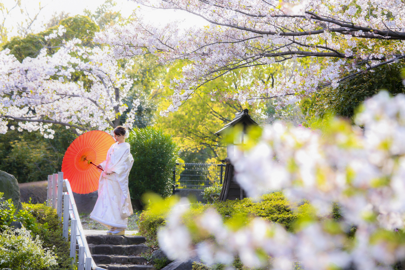 桜プラン 和装桜ロケ(白無垢+色打掛の2着)&洋装東京駅ナイトロケ 撮影プラン