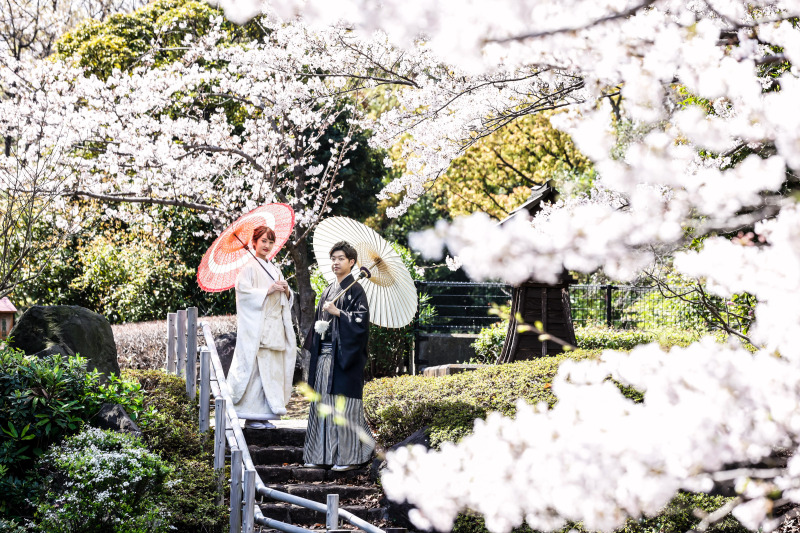 桜プラン 早割期間限定　桜ロケーションプラン　98,800&rarr;78,000円　1月18日までの申込み限定