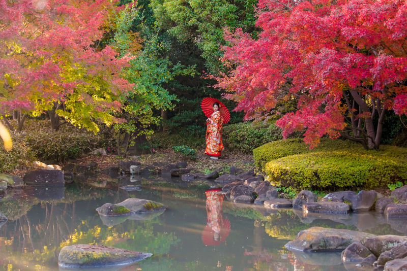 【紅葉和装ロケLight】 期間限定プラン 白無垢 or 色打掛《40着以上から差額ナシで選べる》表示価格からUP料金なしで安心