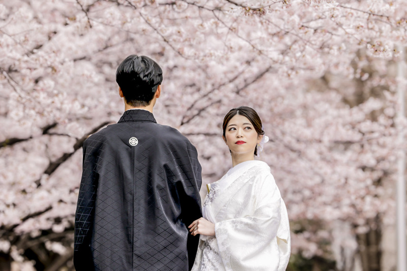 桜プラン 早割期間限定　桜ロケーションプラン　98,800&rarr;78,000円　1月18日までの申込み限定