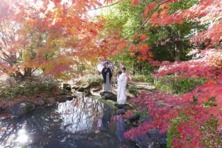 期間限定　和装紅葉ロケーションプラン　白無垢＆色打掛2着《40着以上から差額ナシで選べる》衣装確約表示価格からUP料金なし