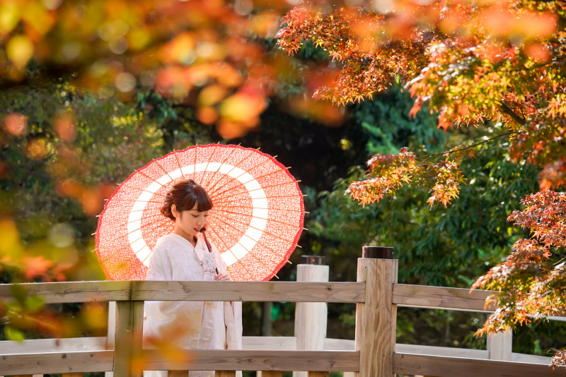 【紅葉和装ロケLight】 期間限定プラン 白無垢 or 色打掛《40着以上から差額ナシで選べる》表示価格からUP料金なしで安心