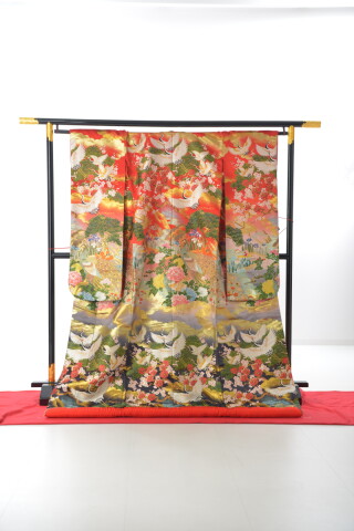 赤5 栄屋花鳥園孔雀