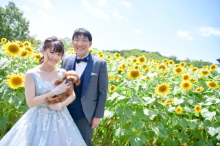 ことぶきプラン