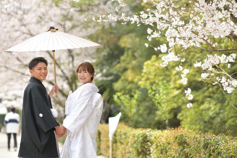 桜フォトウエディング