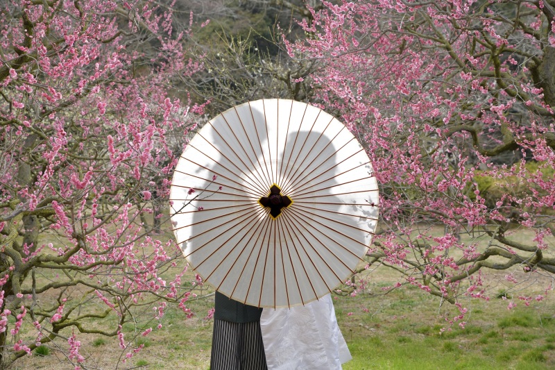 傘のシルエット