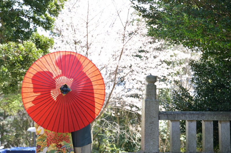 番傘シルエット