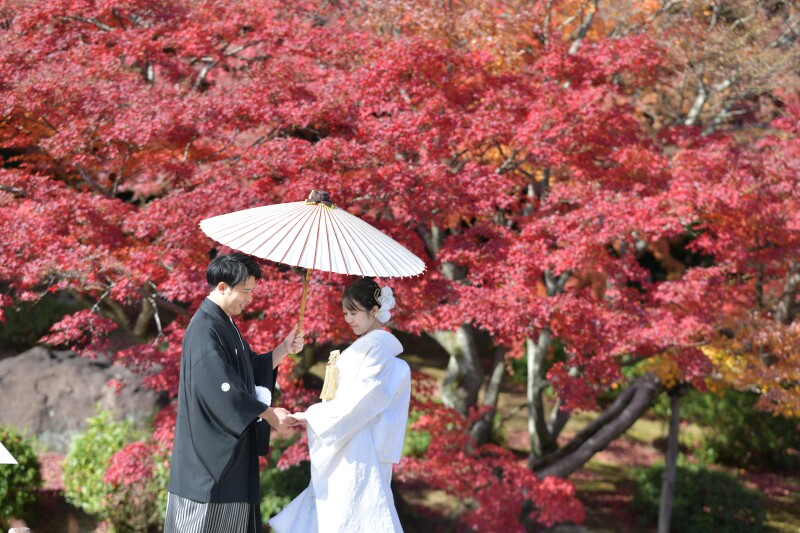 やっぱり紅葉は栗林公園