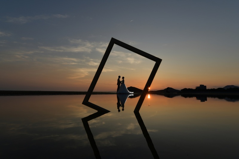 まるでアートのような