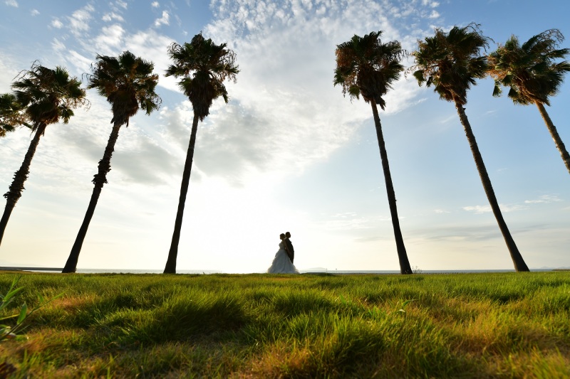 ヤシの木と一緒に