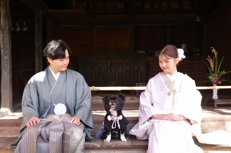 愛犬と