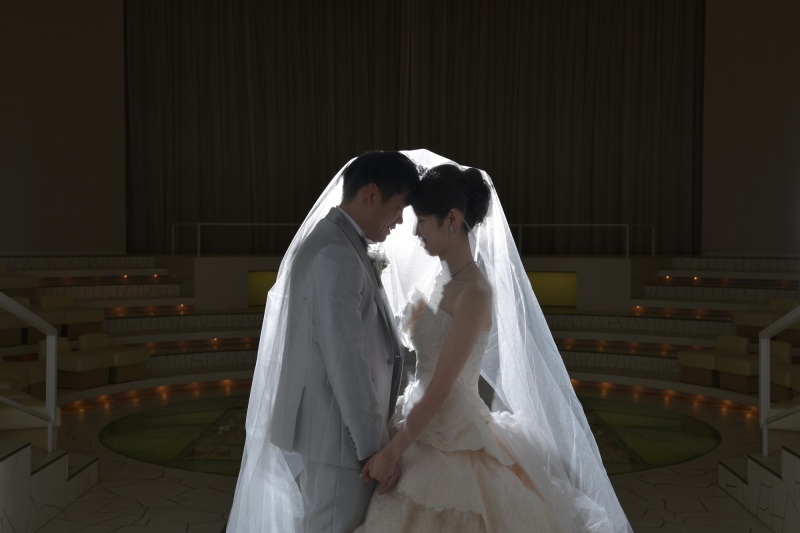 ベールインショット