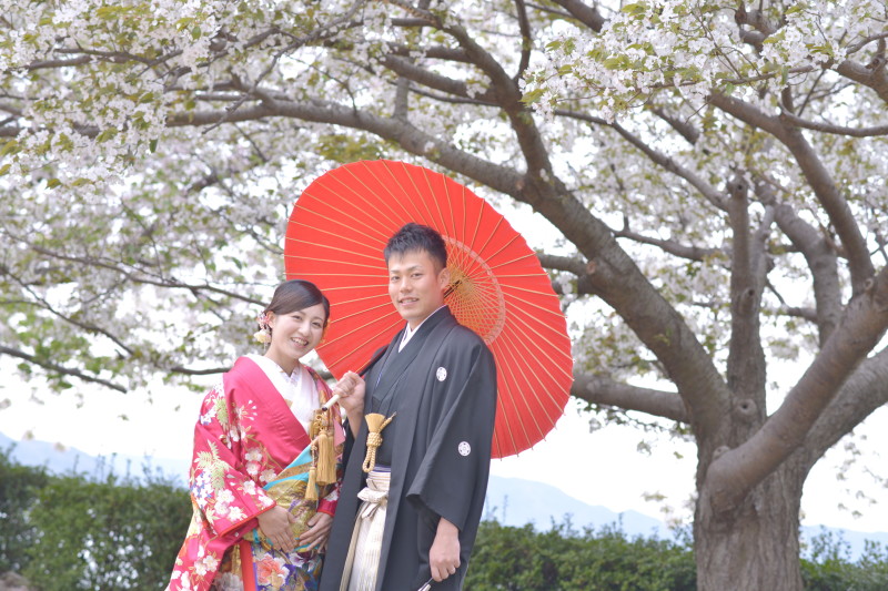 期間限定　「春」　プラン