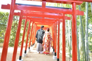 ことぶきプラン