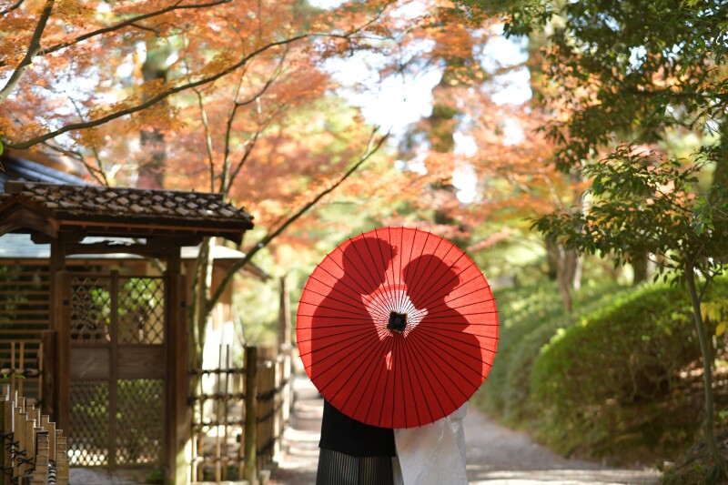 番傘シルエット