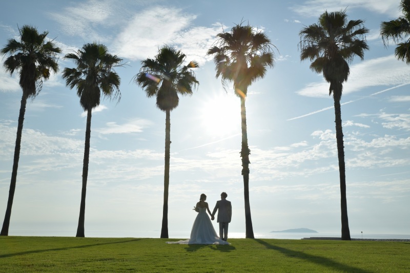 南国のような雰囲気