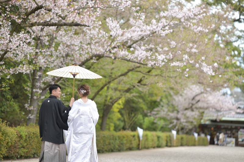 桜フォトウエディングin栗林公園