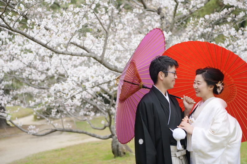 番傘と桜は素敵。