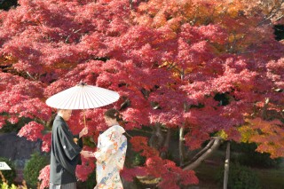 和装1点・洋装2点・ロケ1カ所