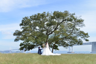 期間限定プラン