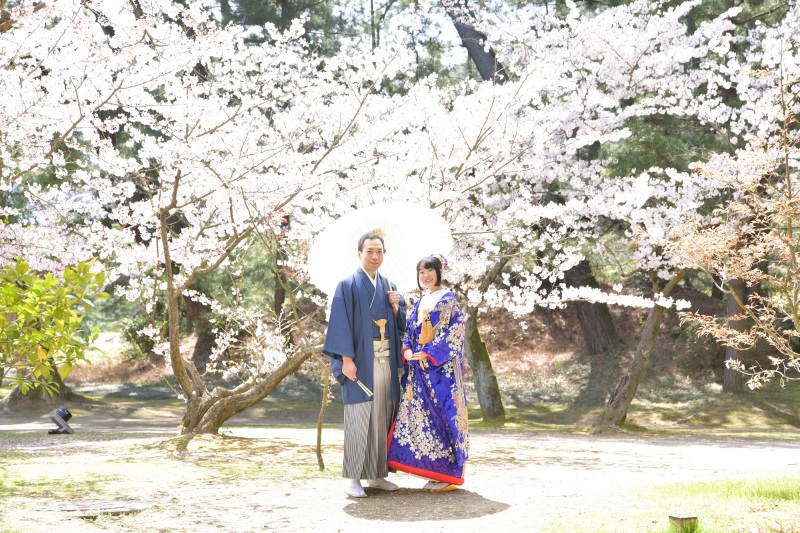  桜フォトウエディング