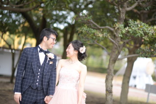 期間限定プラン