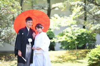 期間限定プラン