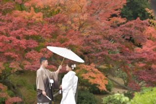 和装1点・洋装１点・ロケ2か所【紅葉】