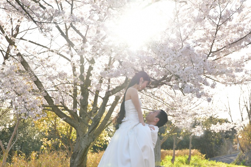 ドレスでも桜と