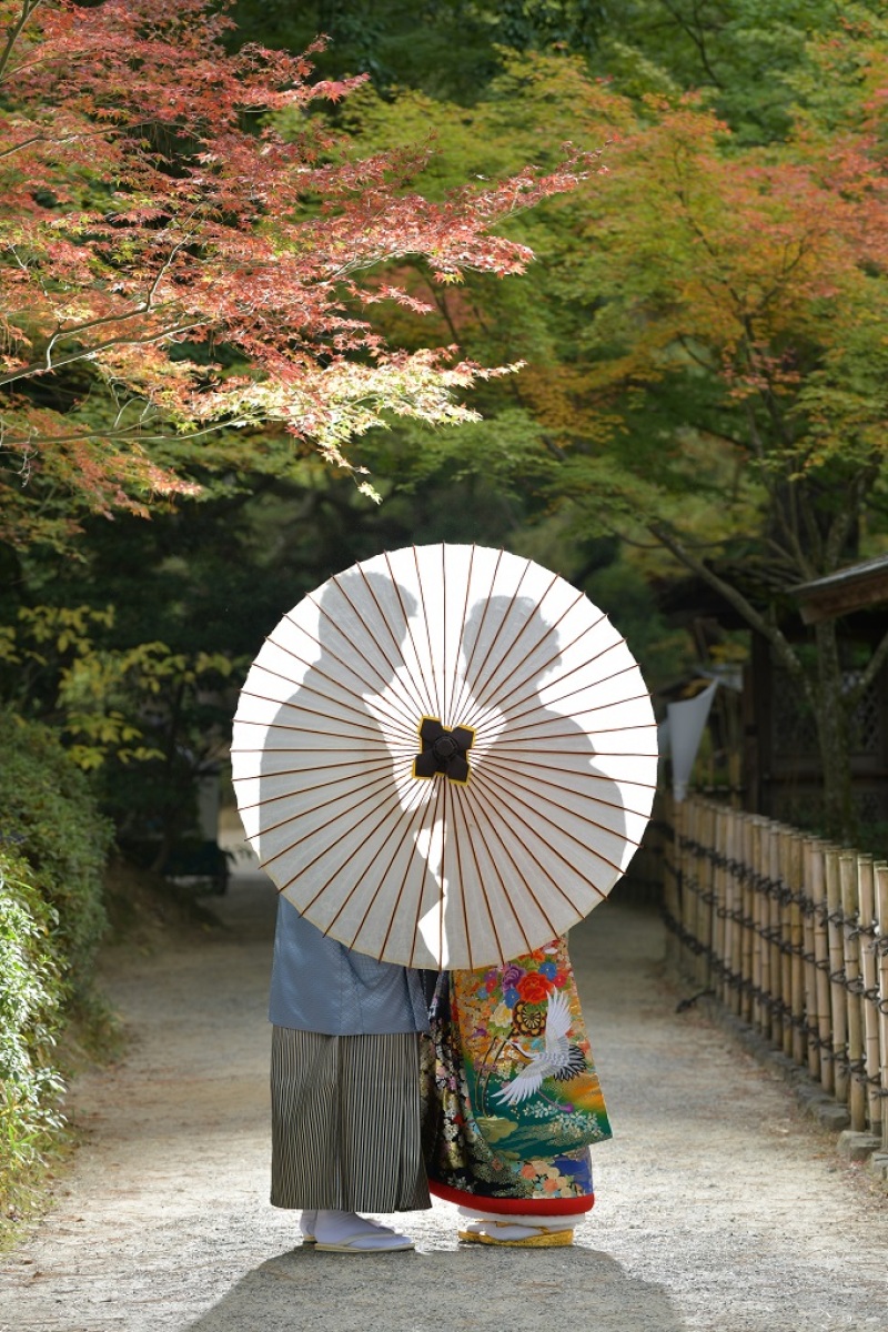 傘でシルエットショット