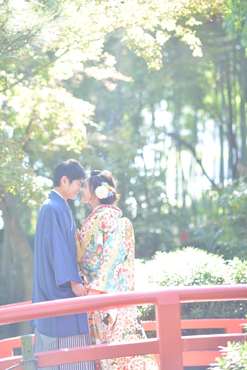 期間限定プラン