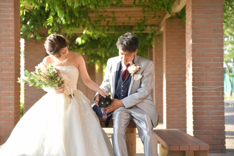 大切な猫ちゃんと