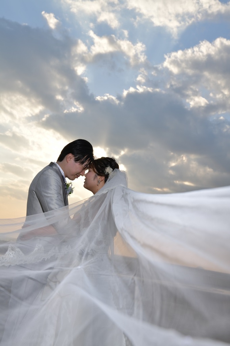 ベールショット