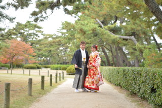 期間限定プラン